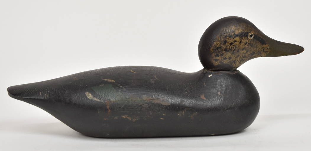 Black Duck Decoy