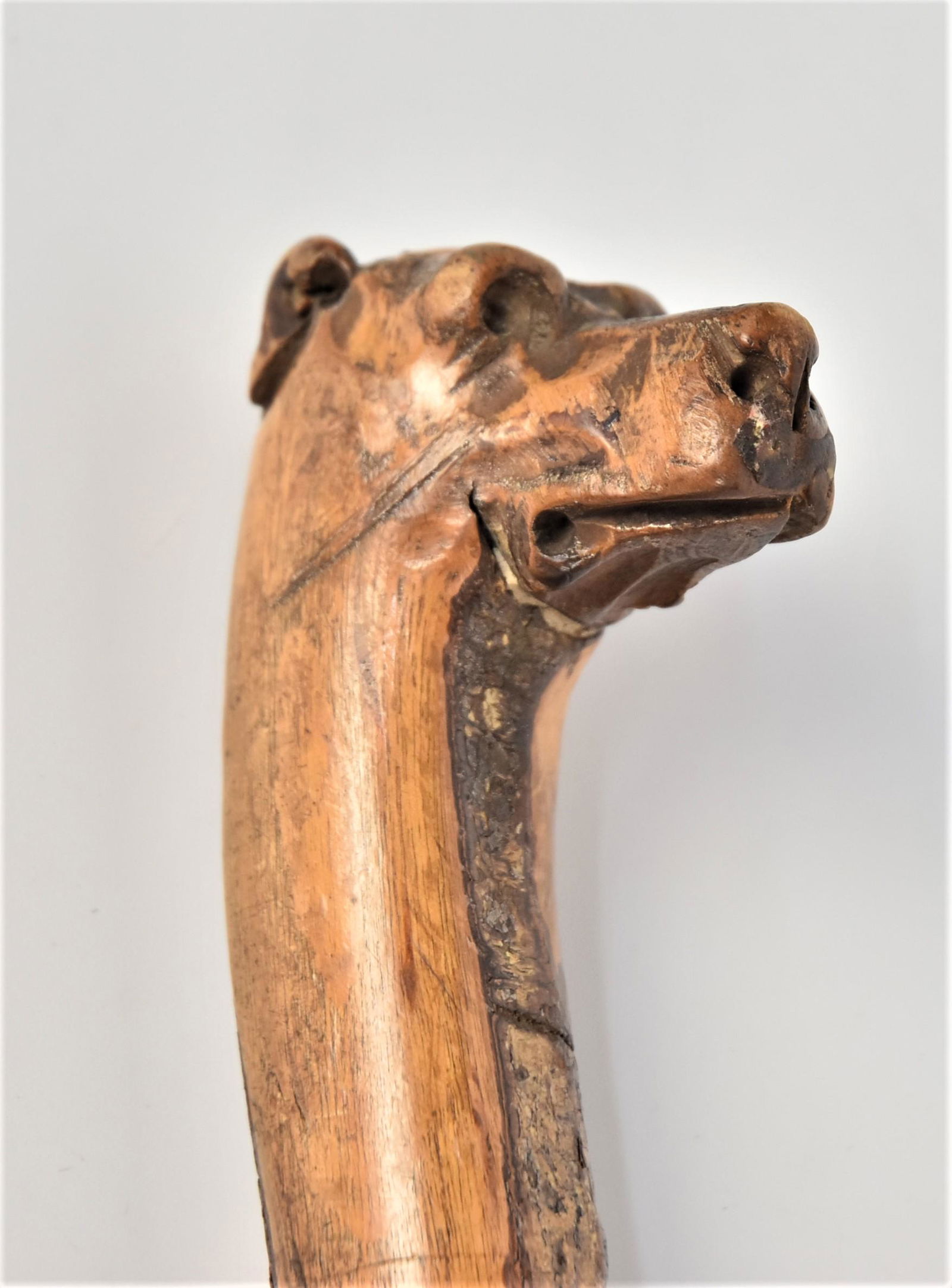 Folk Art Carved Dog Head Cane (1 of 8)