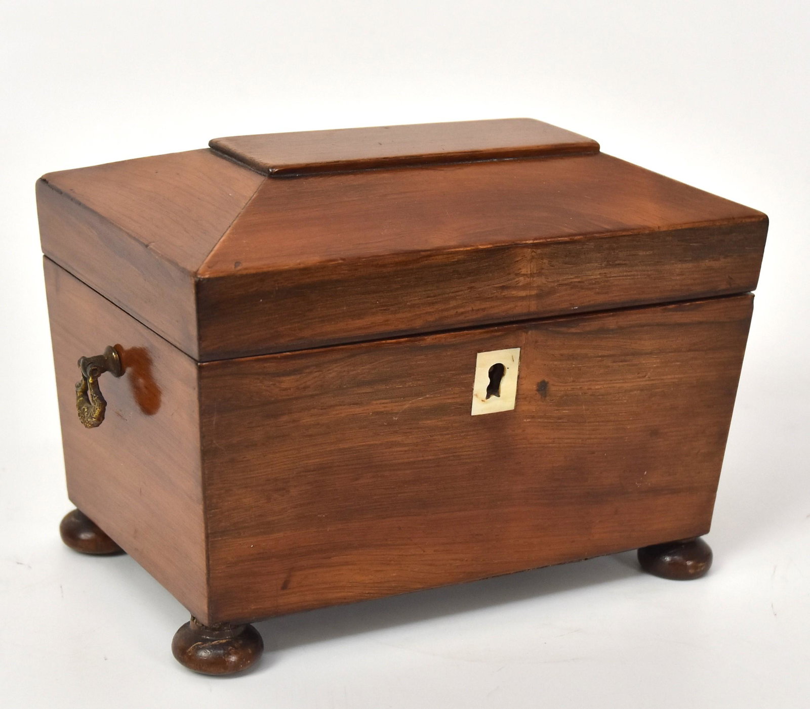 Regency Mahogany Tea Caddy (1 of 5)