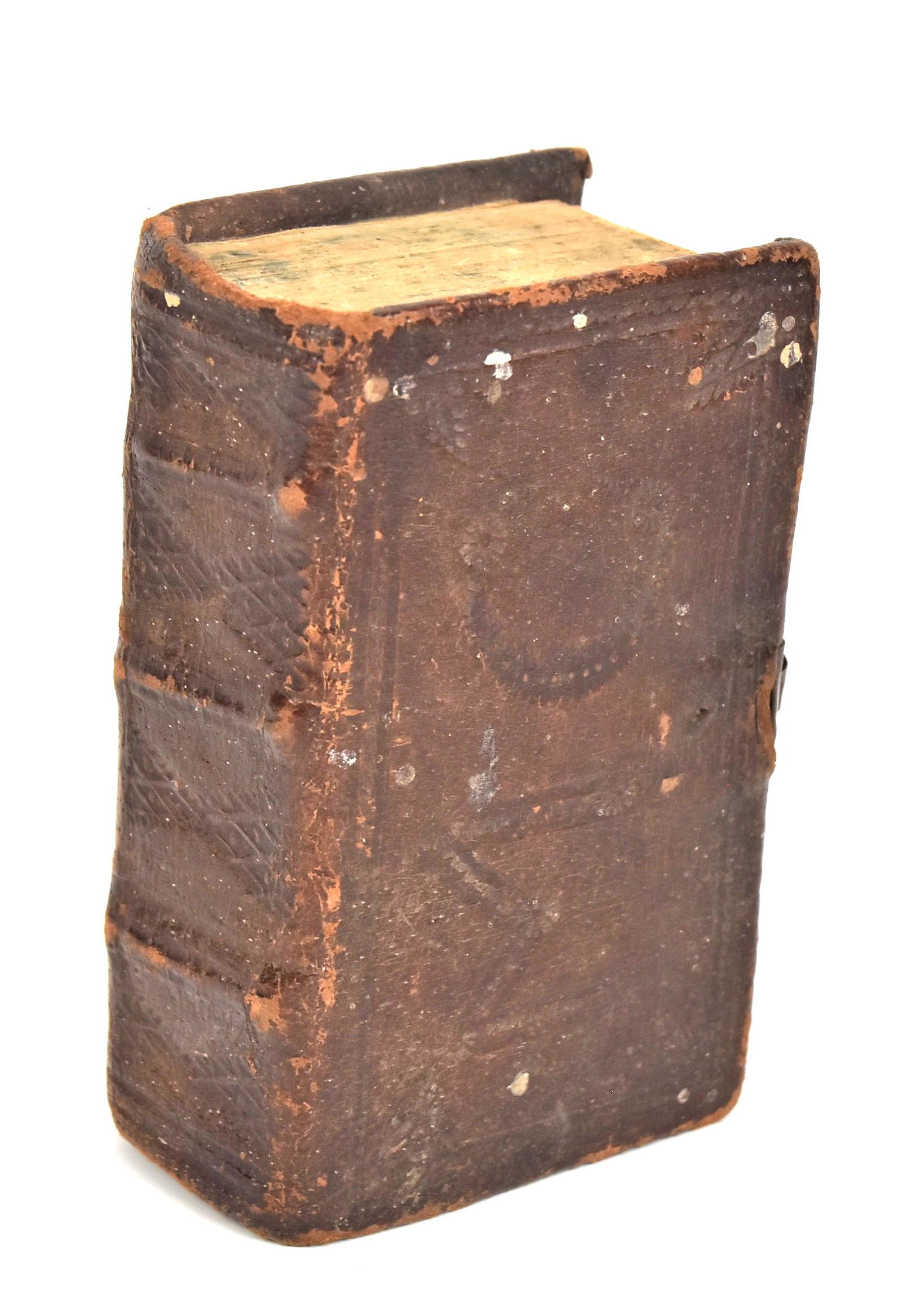 Brady Family Prince James Bible (1 of 5)