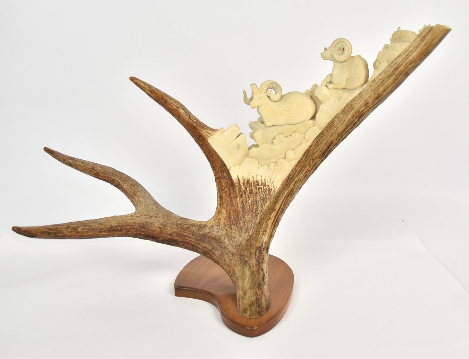 Fine Moose Antler Sculpture: of two resting big horn sheep in mountain landscape, mounted on walnut base, 24 x11 x18 1/2" high. Condition Fine.