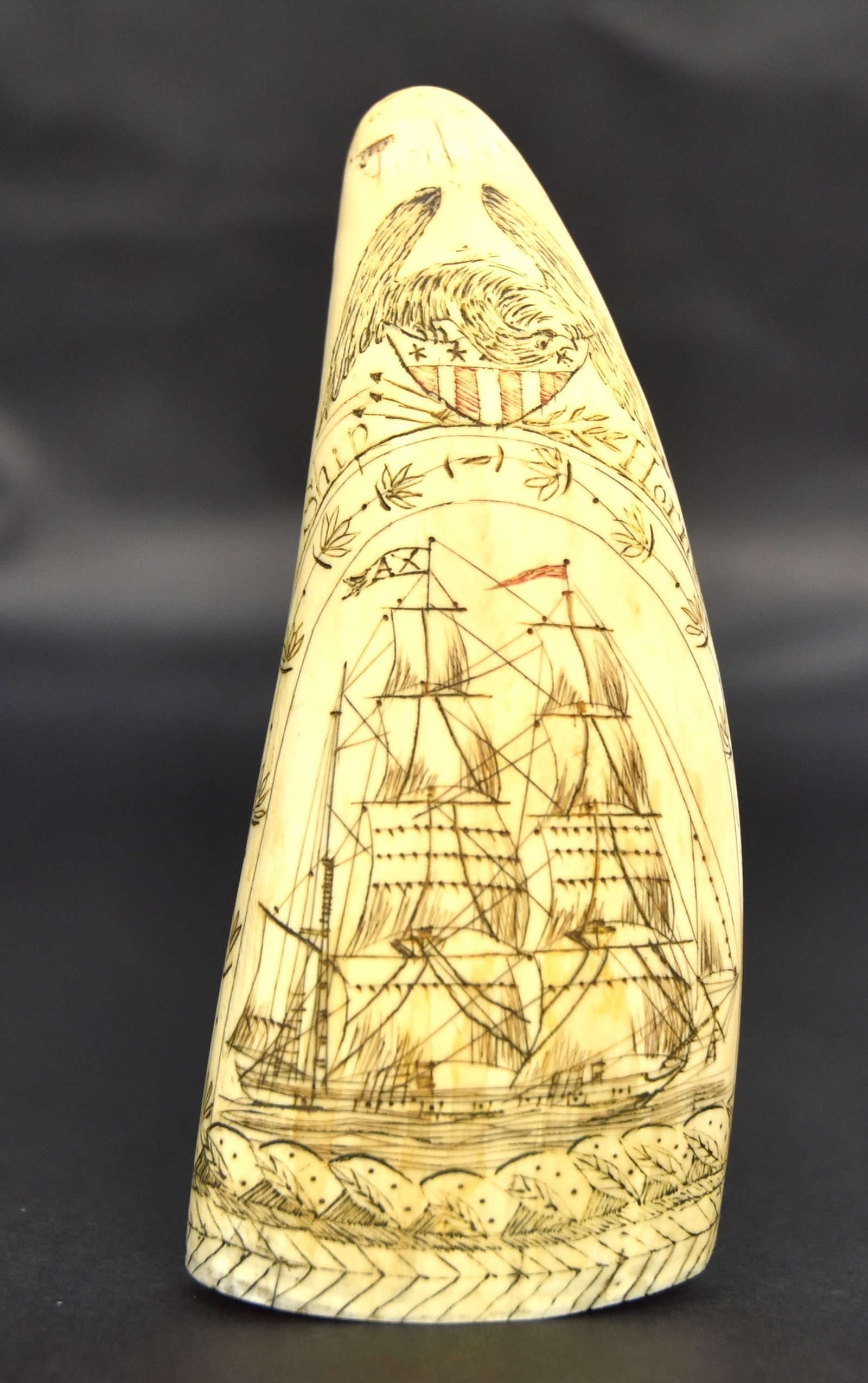 USS Hornet Scrimshaw Sperm Whale Tooth: Engrave on each face with sloop USS Hornet sailing right with arch of vining flowers and spread winged eagle clutching U.S. shield in talons above with engraving Ship Hornet; reverse with erotic three