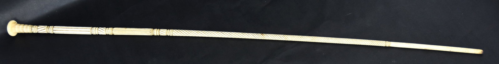 Scrimshaw Walking Stick: Whale bone and whale tooth with 1 7/8" high turned tooth finial, mounted on carved and tapered whale bone single piece shaft, fine old patina, total length 34 12". Condition Fine.
