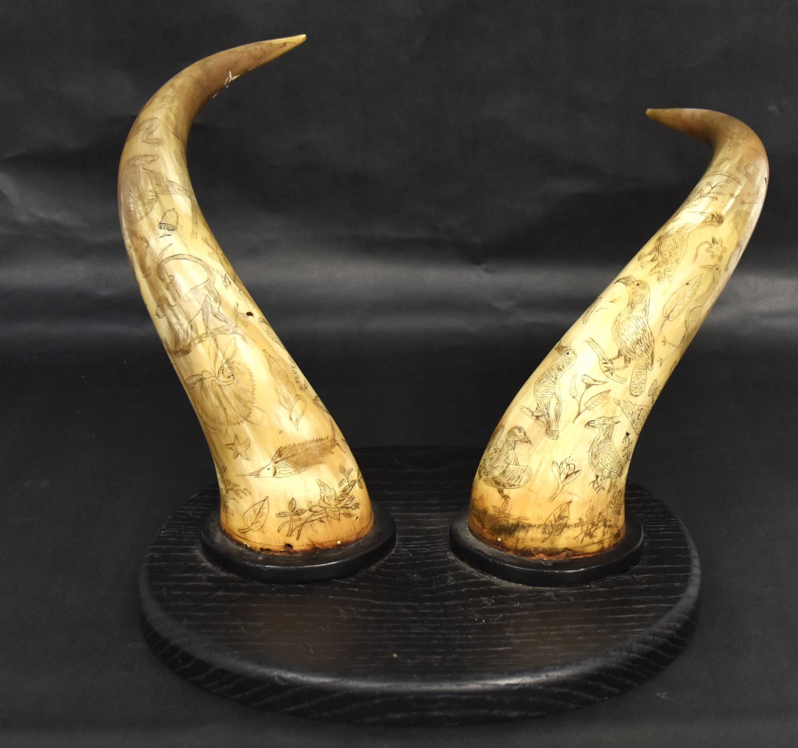 Early Scrimshaw Engraved Mounted Cattle Horns Auction