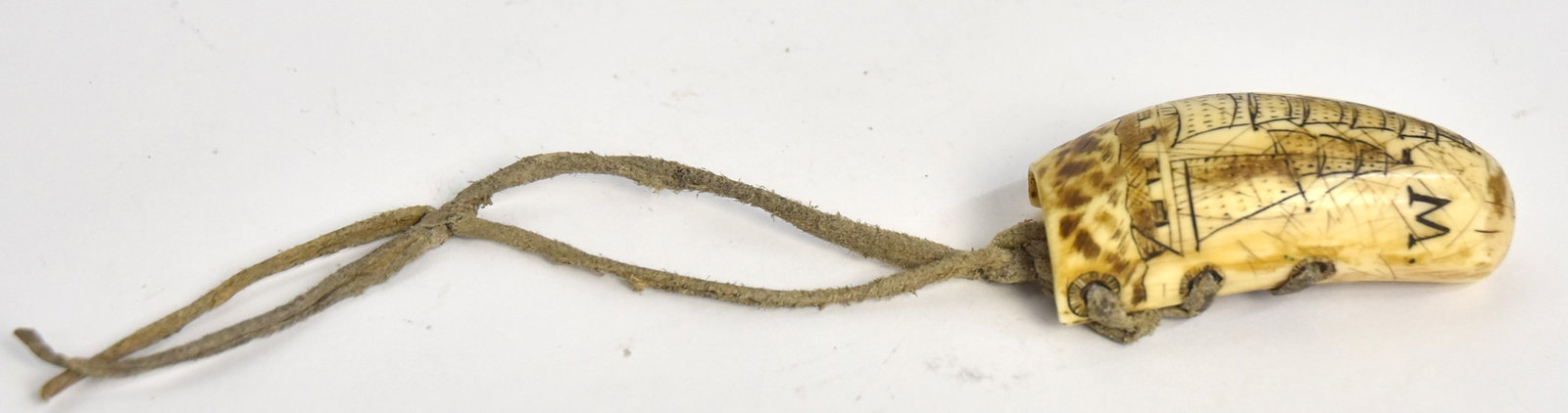 Rare Scrimshaw Sail Makers Tool: A carved porpoise tooth sail makers thumb shield with engraved three masted ship and initials T.M., reverse with scooped out center for thumb and cross-hatched thumb nail with three holes on each side