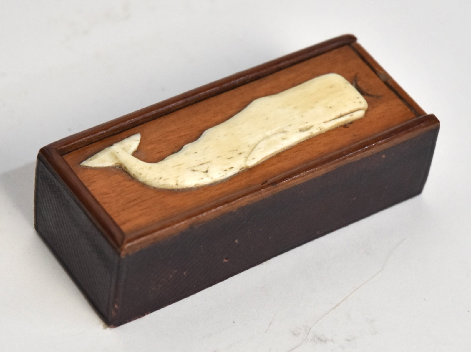 Boxed Scrimshaw Dominoes & Dice: Exotic hardwood box with sliding lid and whale one low relief figure of a Sperm whale on lid, sides covered in cross-hatched burgundy paper, divided interior with to compartments one for two pair of b