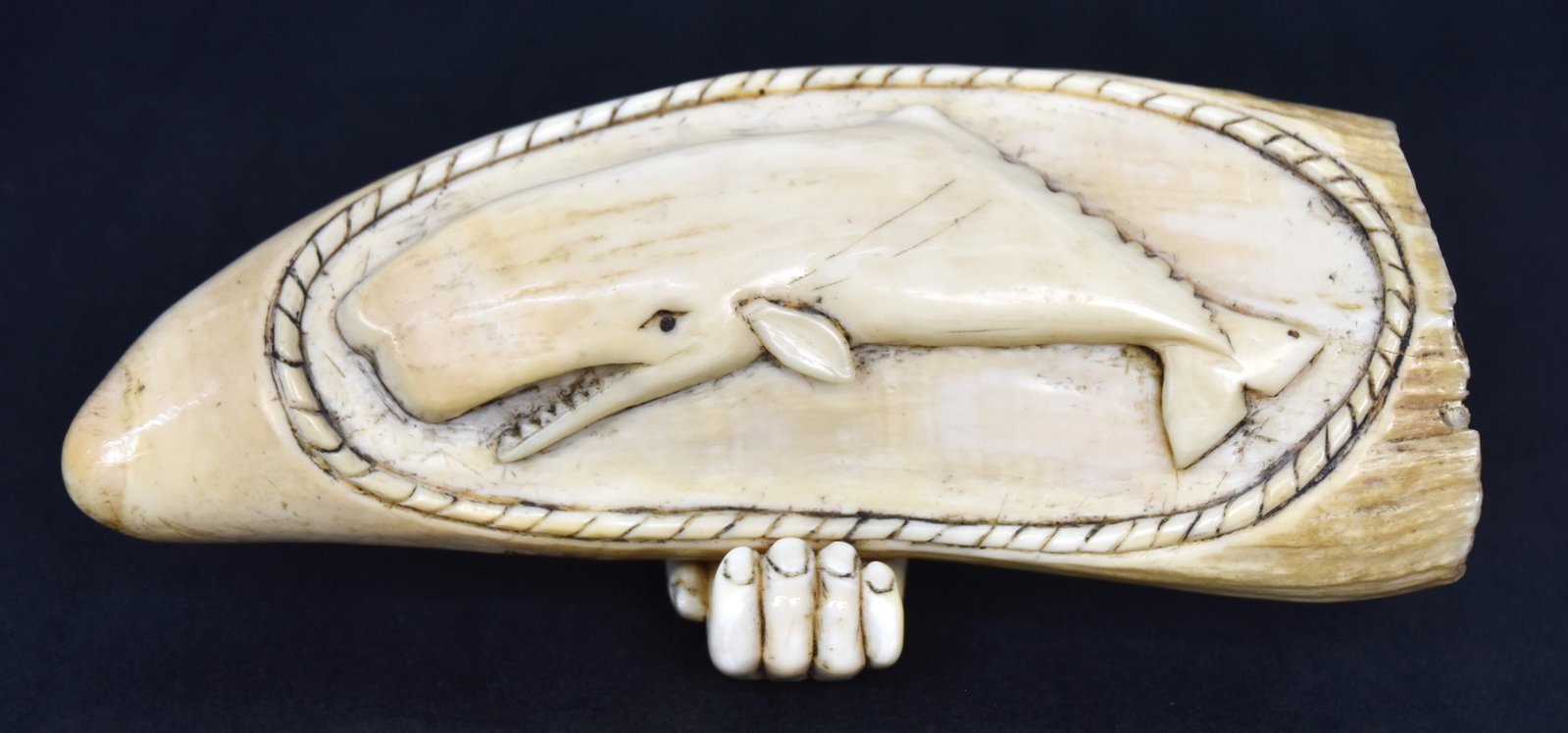 Fine Relief Carved Sperm Whales Tooth: High relief figure of a Sperm whale with craved roped edging with stand also carved porpoise tooth in form of hand clutching side of tooth, nice patina, " long x 2 3/4" high. Condition Fine. Shipping 