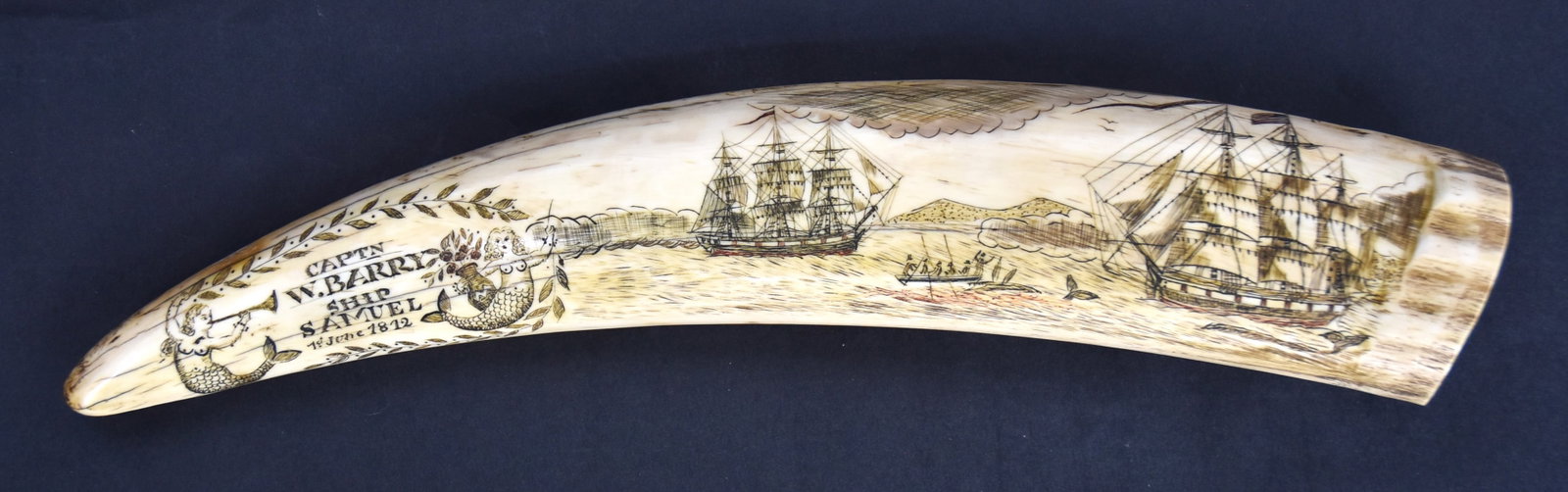 Fine Scrimshaw Walrus Tusk: Engraved on each face with obverse showing two whaling ships with one whale boat hunting two whales with landscape in background, inscription to left reading: Captn/W.Barry/Ship/Samuel/1st June 1812, 
