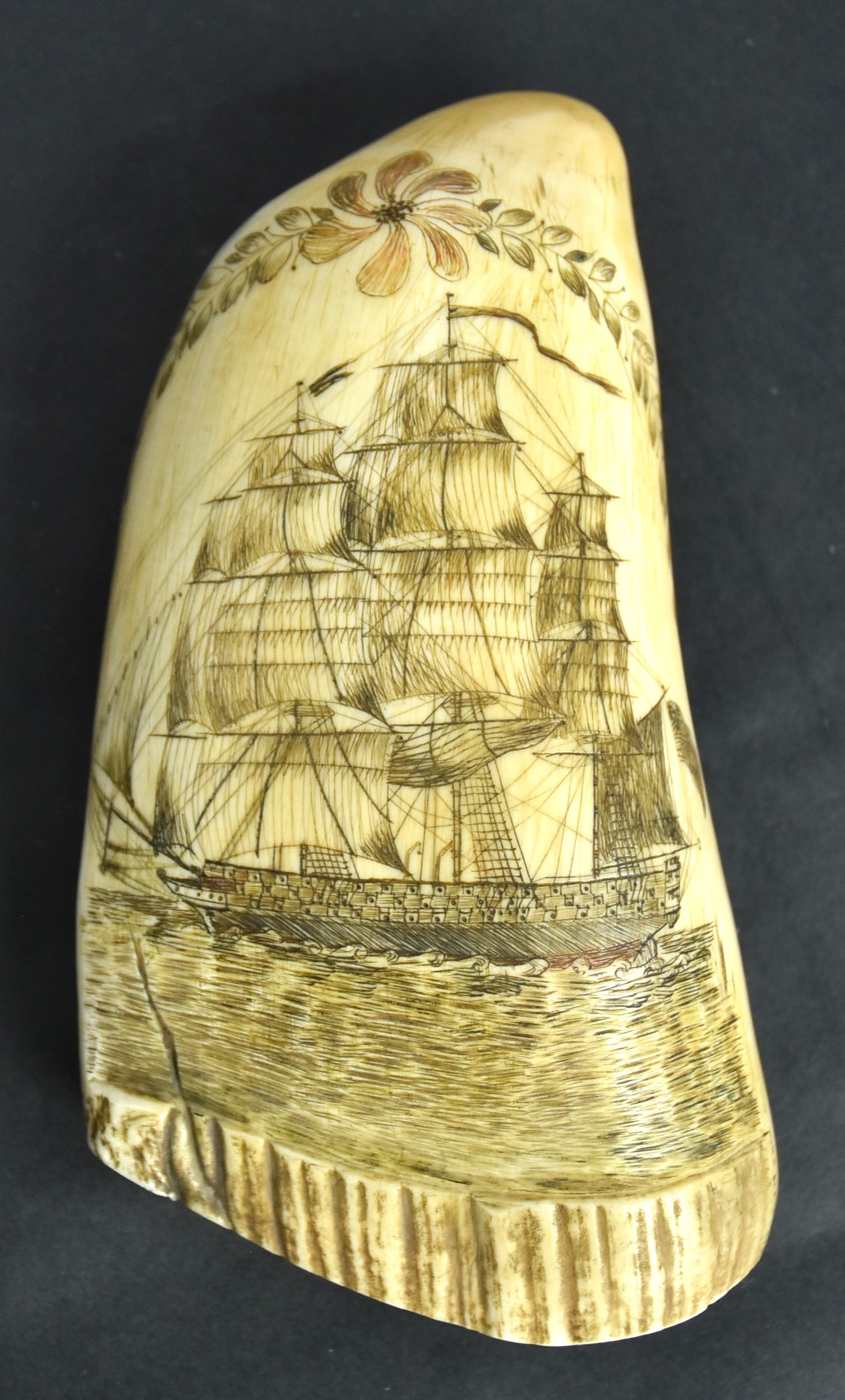 Fine Scrimshaw Sperm Whale Tooth: Engrave on each face with obverse naval frigate flying U.S flag with arch of laurel branches and pinwheel; reverse with 3/4 length portrait of young lady in fashionable dress and hat holding a red ros