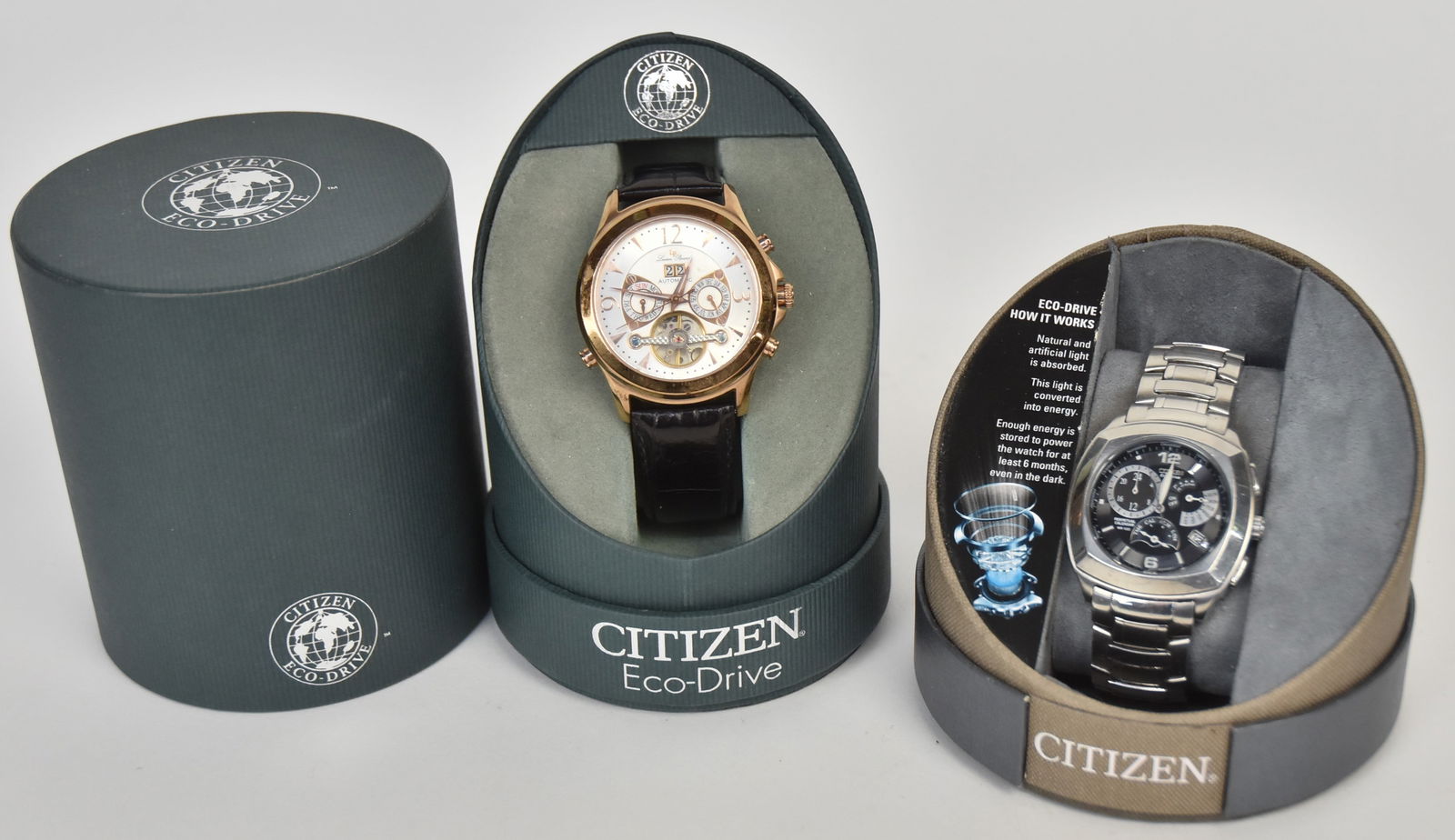 Two Citizen Watches (1 of 11)