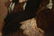 JEANETTE SWING LEWIS (ROOKWOOD CINCINNATI ARTIST) OIL - 3