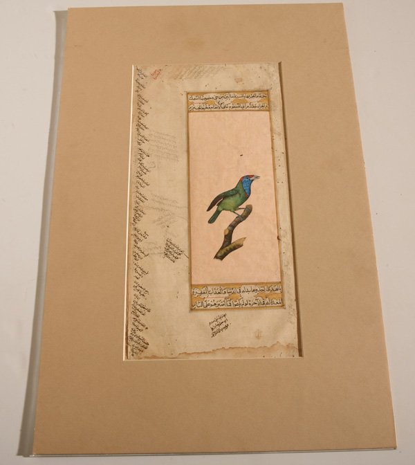 MUGHAL ILLUMINATED MANUSCRIPT PAGE: With a truly wonderful and vibrant watercolor painting of a Blue-throated Barbet (Megalaima asiatica) sitting on a branch with surrounding inscriptions in Arabic Script, reverse with full page of text