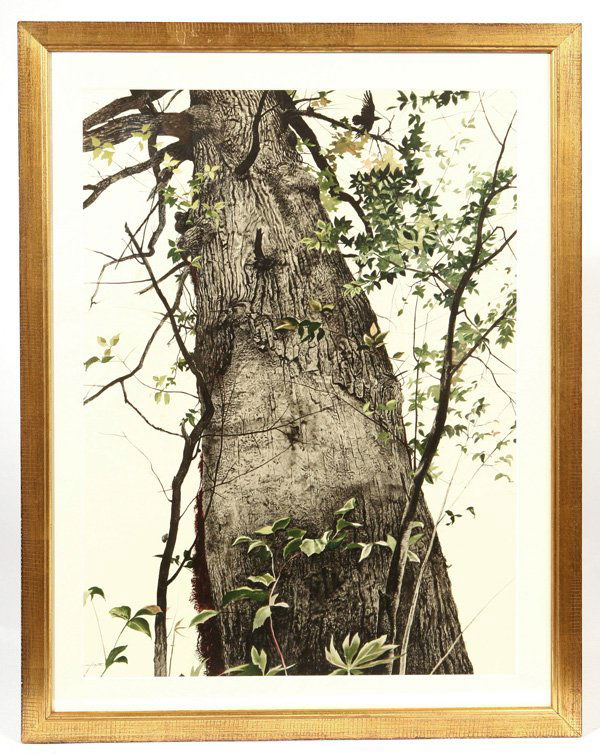 ANDREW WYETH (PA/ME) COLOR COLLOTYPE: Andrew Wyeth (Pennsylvania/Maine, 1917-2009) 23 1/2" x 16 3/4" color collotype titled "The Oak", from the Limited Edition (No. 156 or 250) Portfolio printed in 1945 by the Triton Press for Phillip Hof