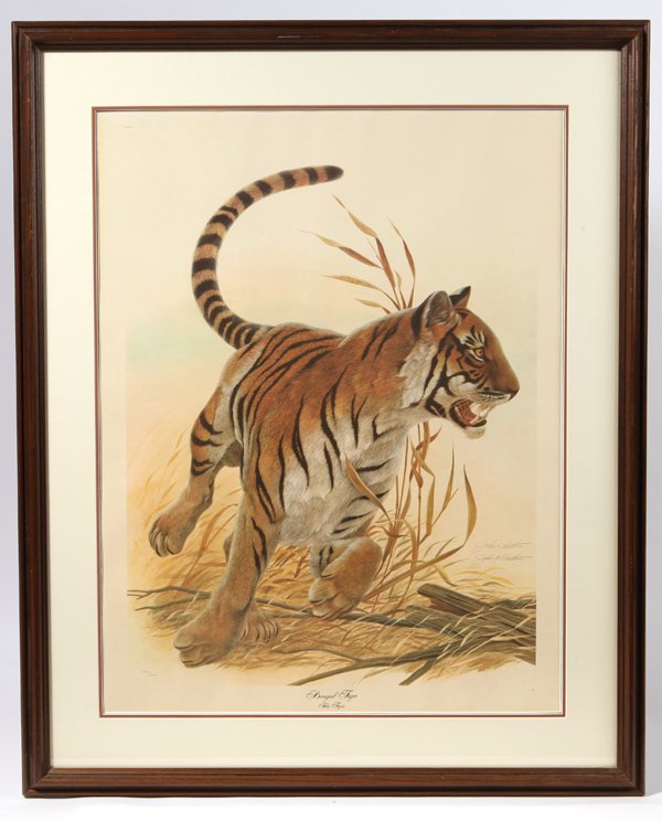 John A. Ruthven (Ohio) Print "Bengal Tiger"