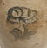 J. Miller, Alexandria, VA Stoneware Jar - 6