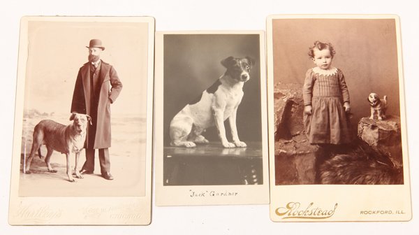 Extremes in Victorian Dog Photos Plus (1 of 5)