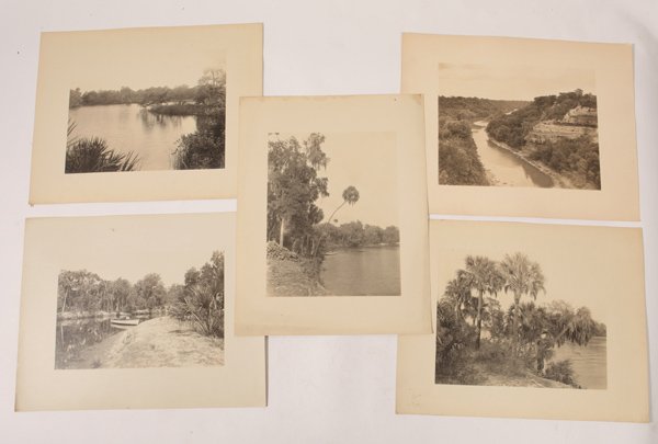 Allen N. Hoxsie Fla. Photographs: Lot of five all on original heavy linen backed card stock mounts, 11 x 14 inches, most titled in pencil on reverse including the following titles: Bradentown Fla. (3); Jungle Bradentown Fla. And one u