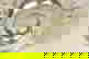 item-1346284=3