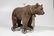 Early Steiff Teddy Bear on Wheels - 2