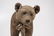 Early Steiff Teddy Bear on Wheels - 7