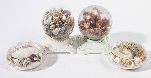 FOUR ANTIQUE SEASHELL PAPERWEIGHTS (1 of 7)