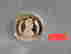 item-80975886=1