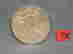 item-80975911=1