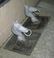 Pair of figural horse head hitching posts - 2