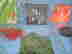 item-118829279=3