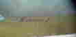 item-129636112=2