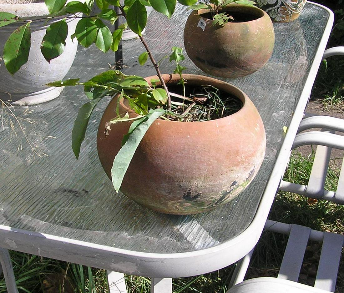 Earthenware planter: Earthenware planter 9 inches round by 6 1/2 inches high est. value $30.00-$35.00