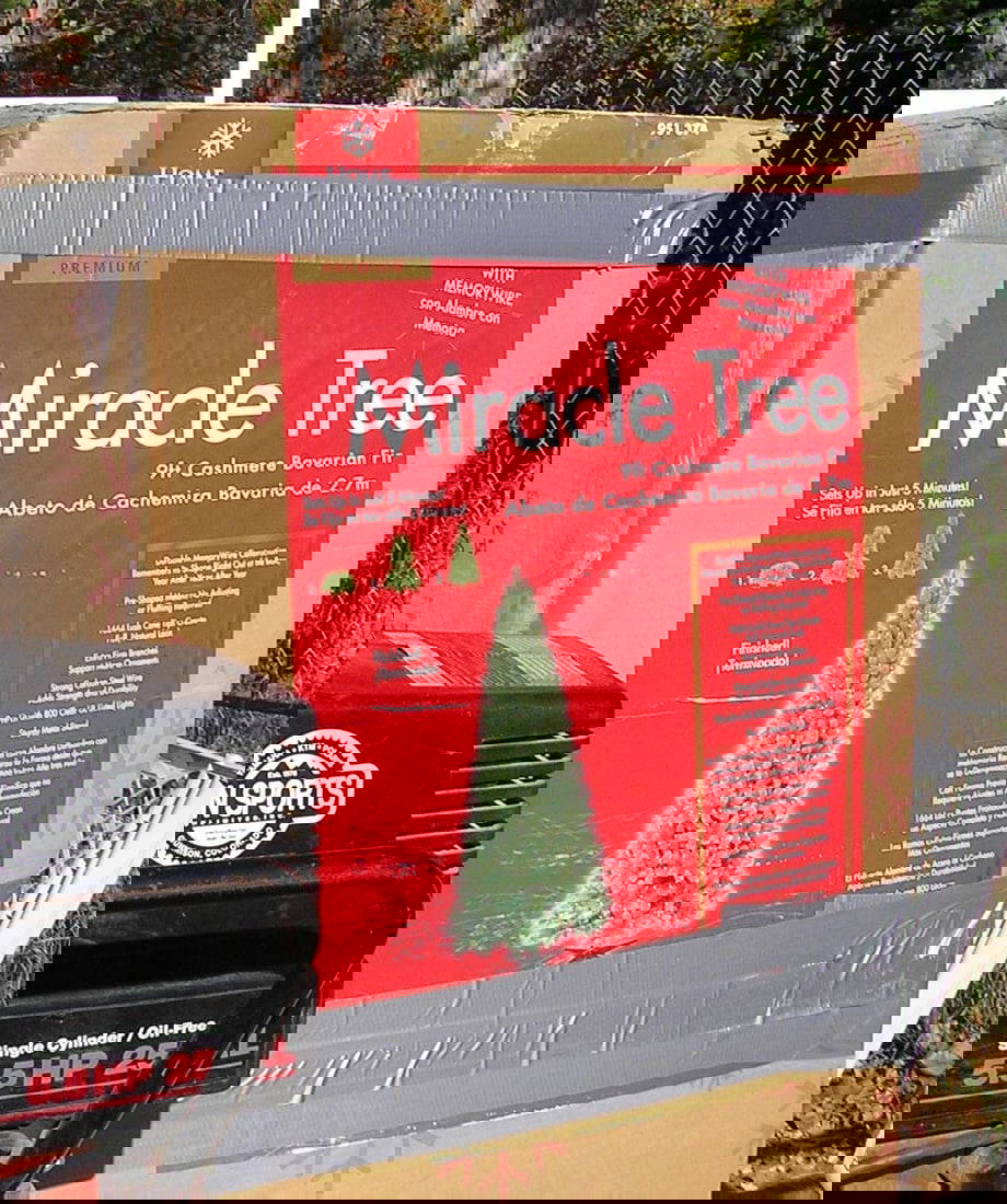 9 Foot Cashmere Bavarian Fir Christmas Tree Auction