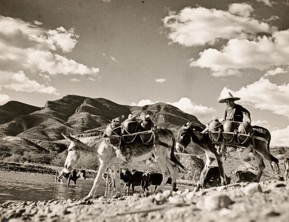 Campesino transportando vasijas en un burro, 1960-1970.: Leo Matiz (1917-1998) Campesino transportando vasijas en un burro, 1960-1970. Gelatina de plata, sello húmedo del fotógrafo, tiraje de época. 20 x 25 cm,