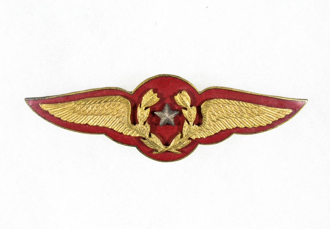 MAJOR GEN. CALEB VANCE HAYNES PRESENTATION CHILEAN AIR: Early pair of pilotâ€™s wings presented to future Major Gen. Caleb Vance Haynes by the Chilean Air Force. The pin bears gilt wings and a silver star affixed to a red enamel backing 3.125 in. long