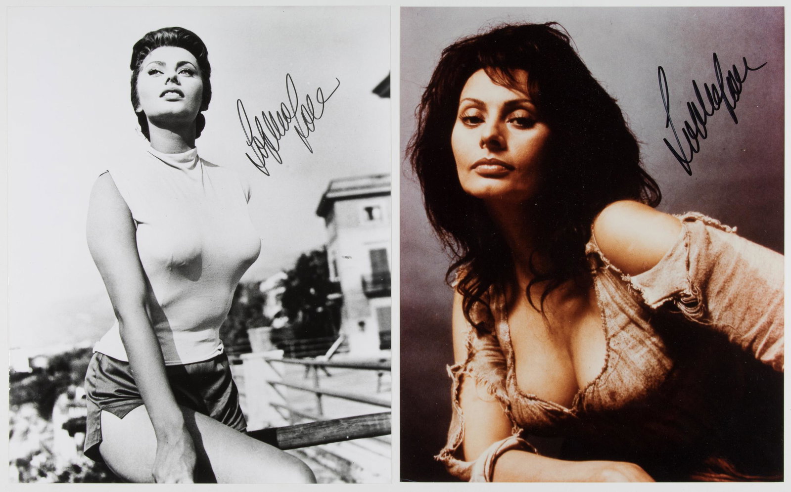 SOPHIA LOREN: (b. 1934) Italian film actress and singer, one of the most recognizable stars of classic Hollywood. A great pairâ€¦ of glossy S.P.s, each 8 x 10 in., signed at upper right in black ink. Fine.