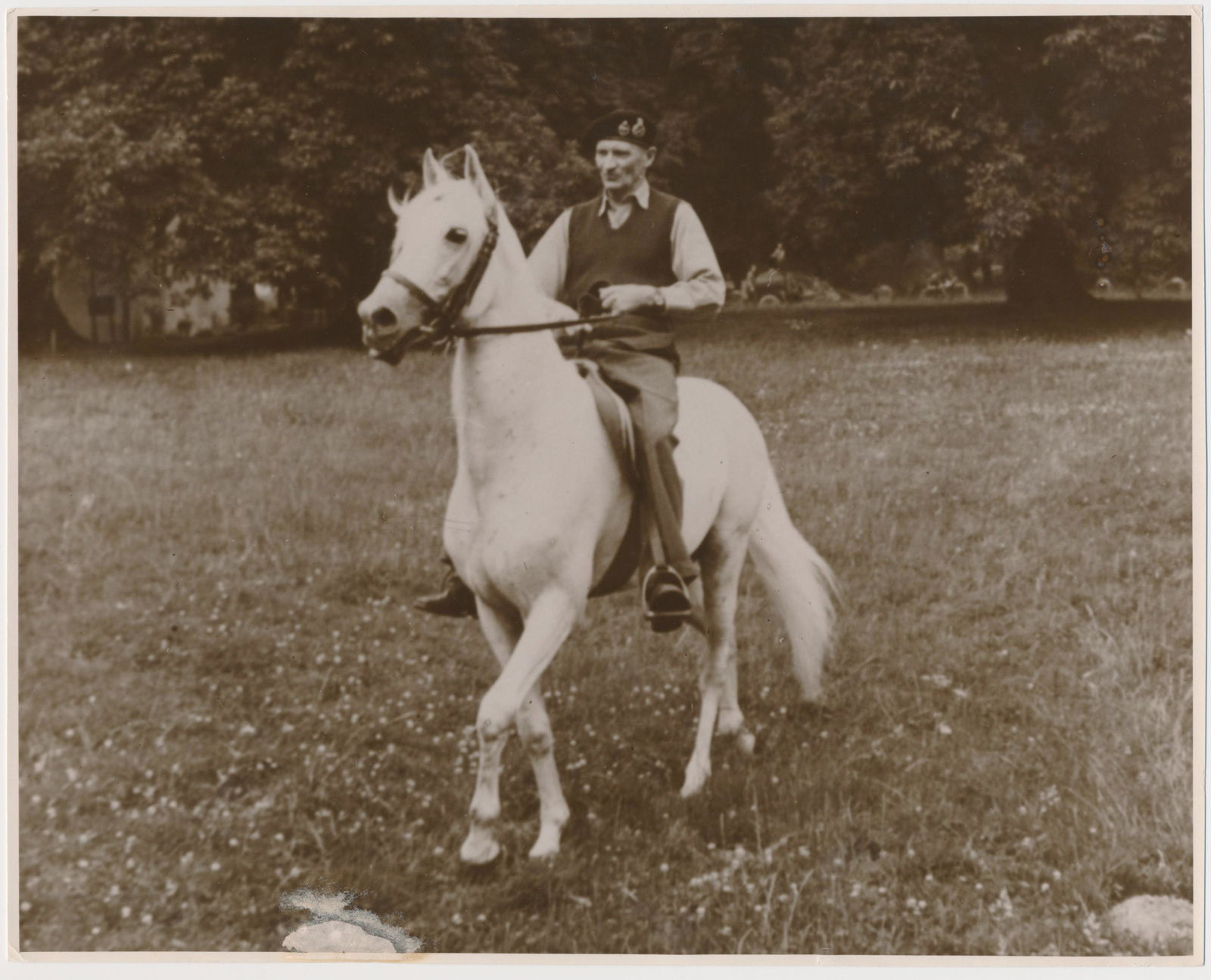 MONTGOMERY ON ROMMEL'S HORSE (1 of 1)