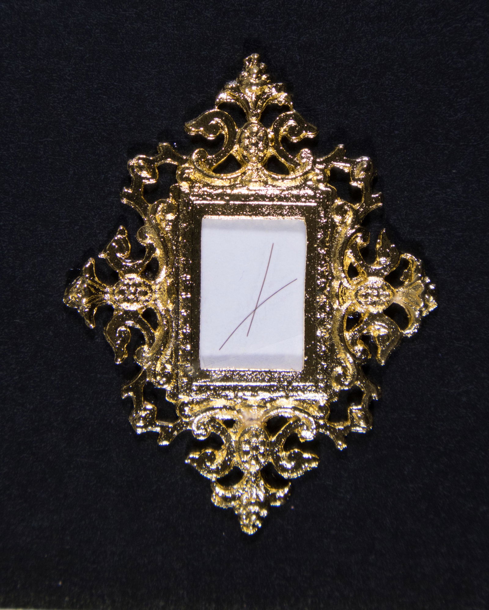 HAIR OF JOHN F. KENNEDY (1 of 1)