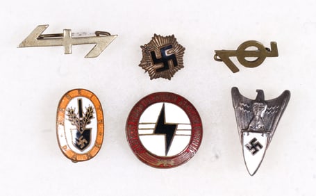 GERMAN POLITICAL AND OTHER PINS (6)
