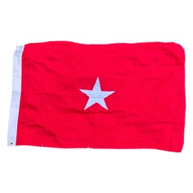 UNITED STATES ARMY BRIGADIER GENERAL FLAG