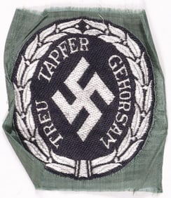 NAZI SCHUMA INSIGNIA