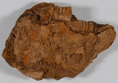 MINIE BALLS IN AN ACCRETION FROM A VIRGINIA BATTLEFIELD