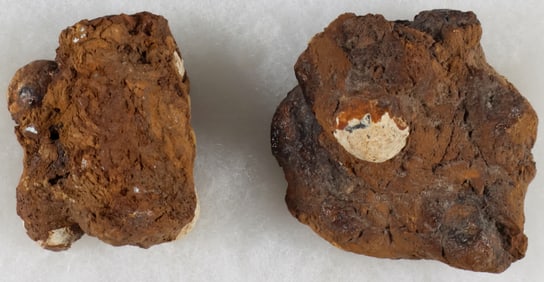 MINIE BALLS IN AN ACCRETION FROM A VIRGINIA BATTLEFIELD