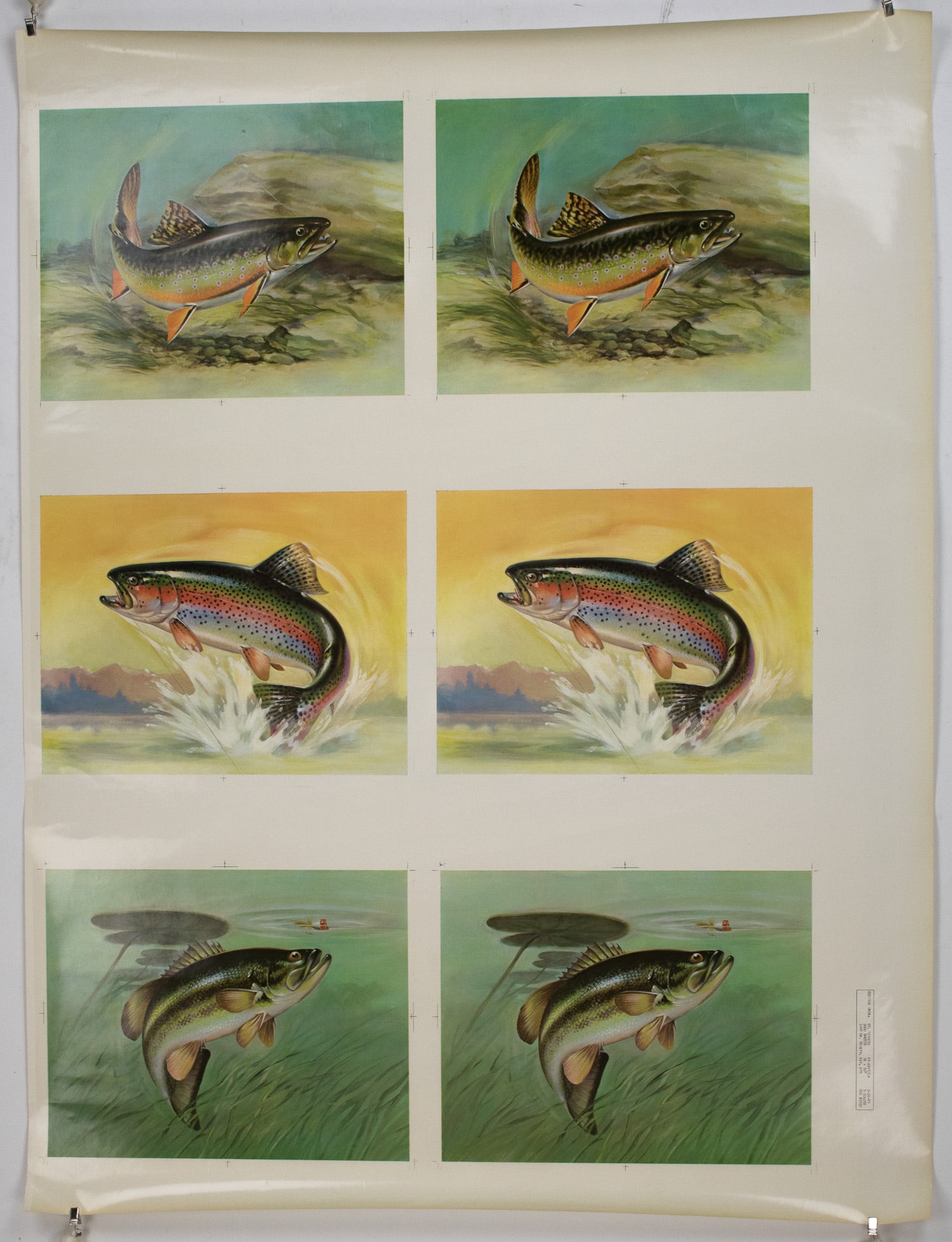 TROUT FISHING AND LURE POSTER: A fine montage poster, 38 in. x 50 in., [n.p.], 1950s, featuring three different double printed pictures of trout swimming and being fished with a lure. Fine condition.
