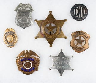 VARIOUS POLICE BADGES AND A FIRE BADGE (7)