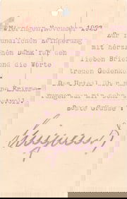 CROWN PRINCE WILHELM