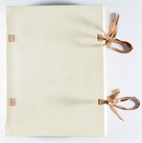 'THE POEMS OF WILLIAM SHAKESPEARE'