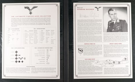 LUFTWAFFE FIGHTER ACES