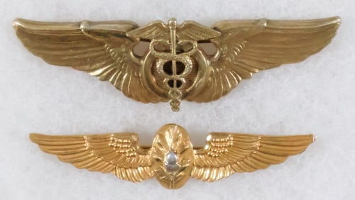 SURGEON'S WINGS (2)