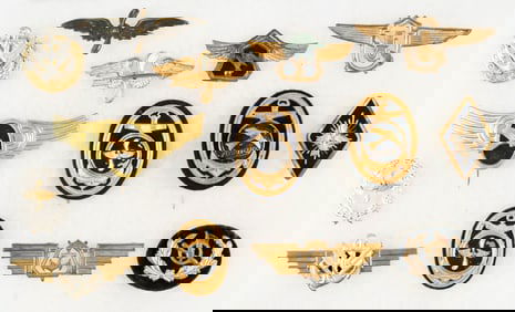 GERMAN NAVY AIR TRANSPORT BADGES (14)
