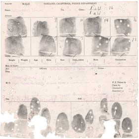 WILLIAM S. BURROUGHS 'SHOTGUN ART'